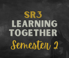 2nd Semester Learning Options