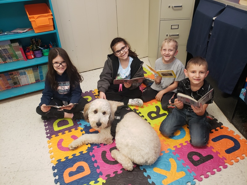 Students reading with the therapy dog